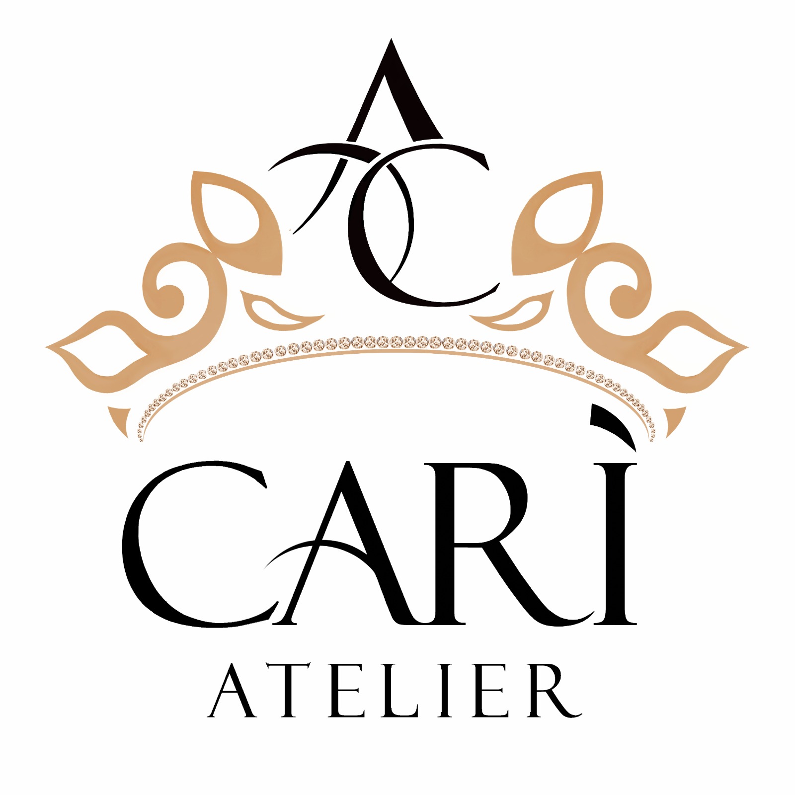 CARI Logo